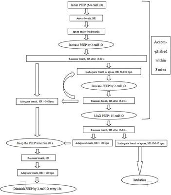 Individualized dynamic PEEP (dynPEEP) vs. positive pressure ventilation in delivery room management: A retrospective cohort study